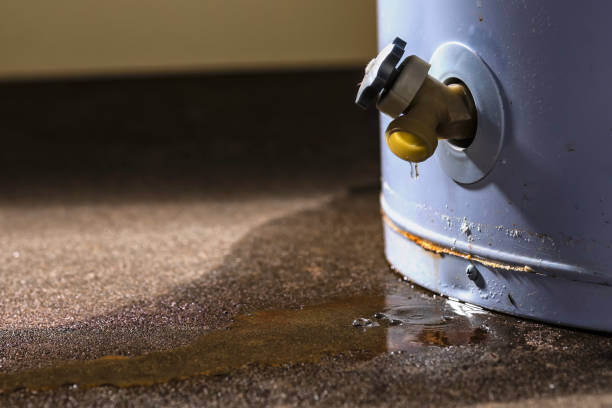 Best Water damage contractors near me  in Orleans, VT