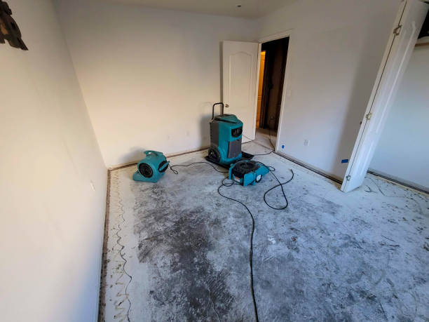 Best Flood restoration services  in Orleans, VT