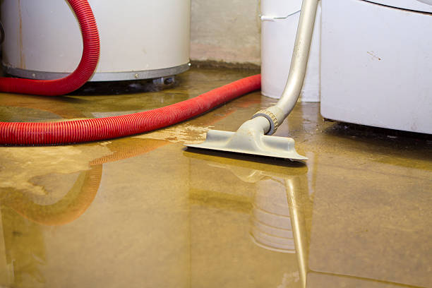 Best Water damage restoration cost  in Orleans, VT