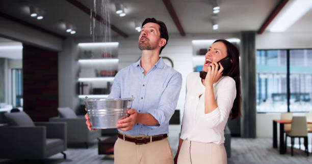 Best Professional water damage repair  in Orleans, VT